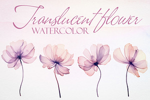 Watercolor Translucent Flower Vector