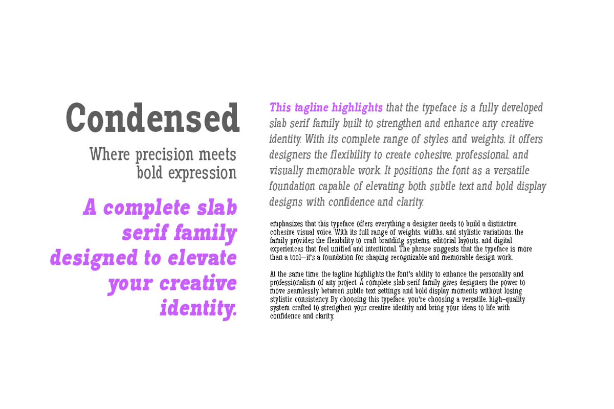 Pano Slab Condensed & Semi Condensed, a Slab Serif Font by artisans (Photo 2 of 8)