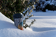 Winter Paper Cup Mockup Set v.5, a Cups & Container Mockup by creatsy5 (Thumbnail 6 of 11)