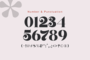Nergisha, a Serif Font by Sealoung (Thumbnail 14 of 15)