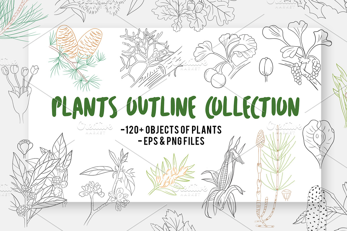 Botanical Line Art Bundle, an Illustration by Graphic Cook (Photo 1 of 8)