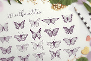 Beautiful Butterflies collection, a Decorative Illustration by Gluiki (Thumbnail 2 of 2)