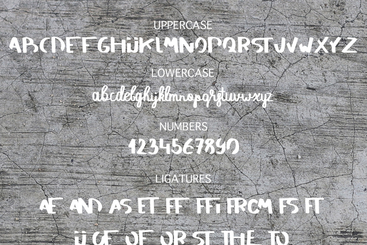 SAVAGE duo script font preview 3