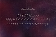 Bistro Signature Script, a Script Font by Deeezy (Thumbnail 5 of 6)