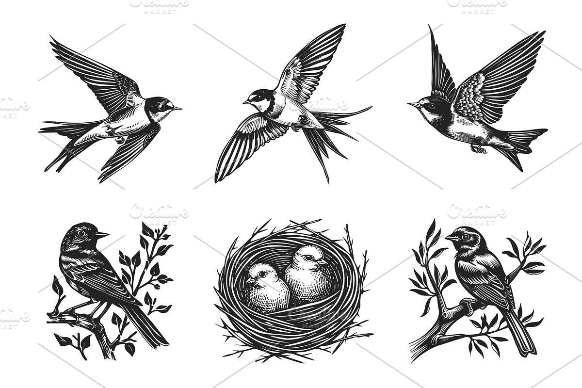 Martin bird set. Sitting on the tree, an Animal Illustration by Valerie Bodnar