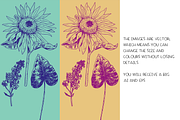 Flowers & foliage - illustrations, a Decorative Illustration by Renée from Studio neetje (Thumbnail 4 of 4)