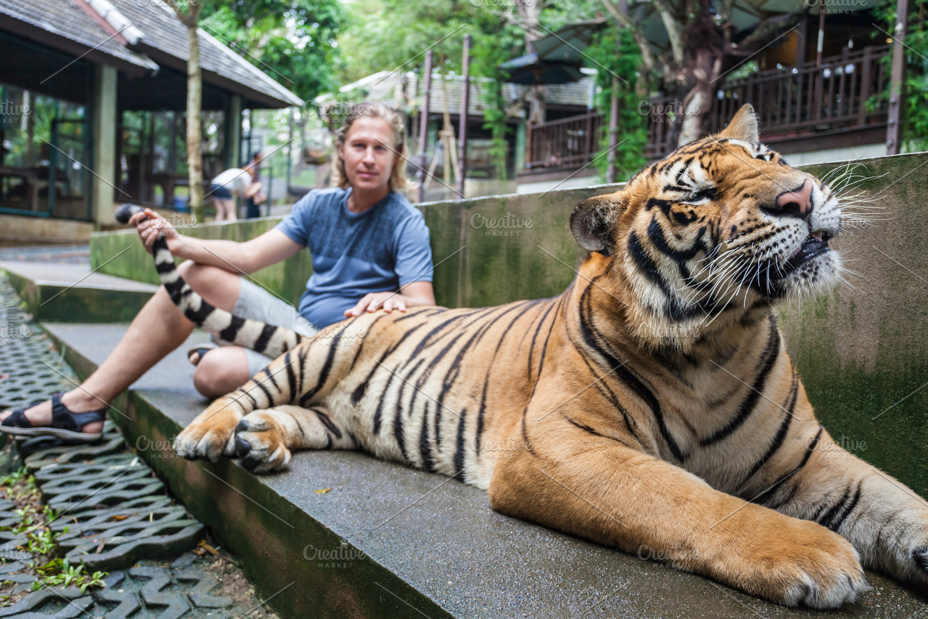 Guy hugging tiger, a Photo by saiko3p