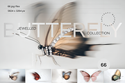 Jewelled Butterfly Collection, a Background Graphic by Lumeno (Thumbnail 1 of 7)
