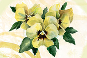 Watercolor flowers set (Pansy), an Illustration by My art shop (Thumbnail 3 of 5)