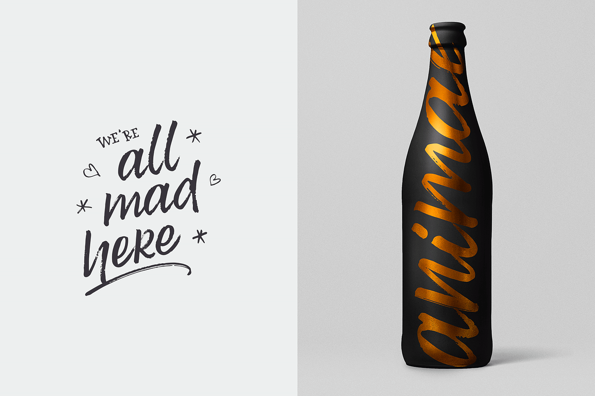 Trailfinder | A Brush Script Font preview 4