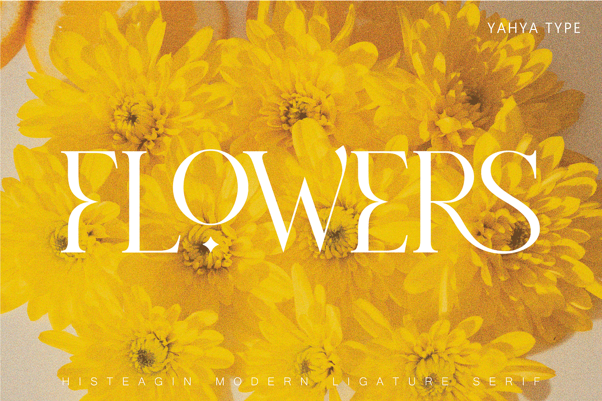 Histeagin Serif, a Serif Font by Yahya Type (Photo 6 of 25)