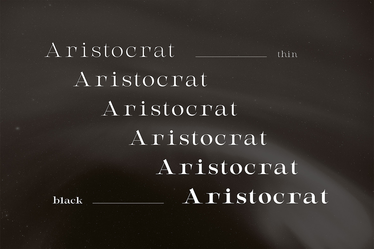 AristocratEstate - Luxury Serif Type, a Serif Font by HipFonts (Photo 4 of 9)