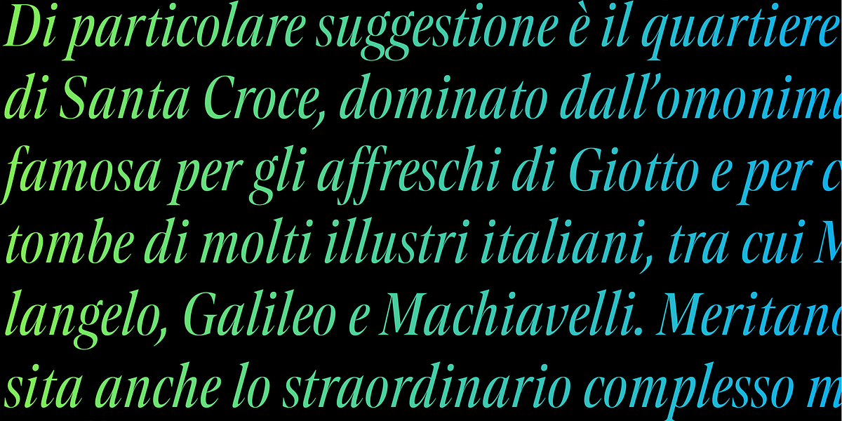 Contane Condensed, a Serif Font by Hoftype (Photo 10 of 14)
