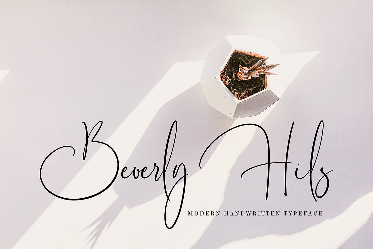 Danila Beatrrice, a Script Font by pineungtype (Photo 6 of 12)