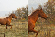 Oil Paint Effect Photoshop, an Action Add-On by liptouse (Thumbnail 2 of 7)