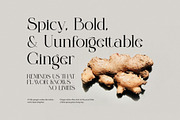 Forest Elegant Serif Font, a Serif Font by Perfectype (Thumbnail 5 of 8)