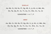 4 in 1 New York Story Retro Fonts, a Script Font by Ashiya Pixel (Thumbnail 17 of 19)