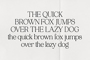 Tenopate, a Serif Font by Pista Mova (Thumbnail 15 of 20)
