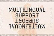 Clarineto A Display Typeface Font, a Serif Font by Storytype Studio (Thumbnail 12 of 15)