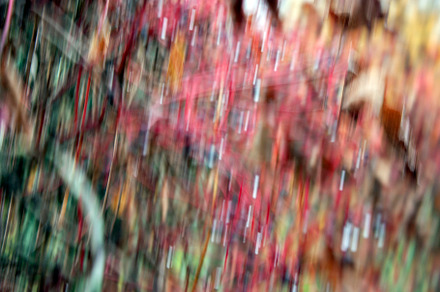 Gradient flower background., an Abstract Photo by Schreibikus