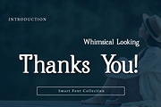 Whimsical Looking, a Script Font by Wow Magic (Thumbnail 3 of 3)