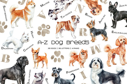 Watercolor alphabet dog breeds set