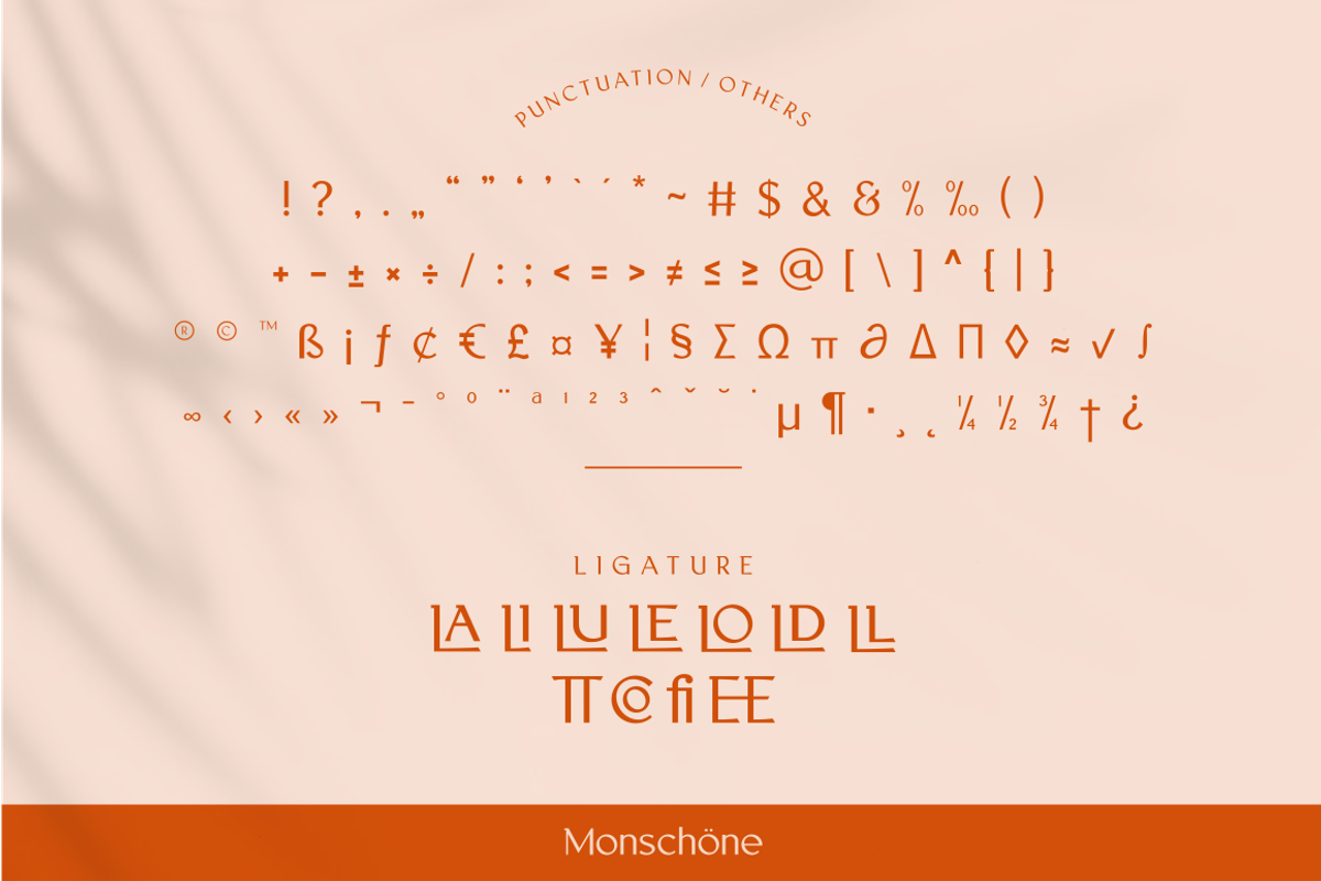 MONSCHONE, a Serif Font by Bagerich Type Foundry (Photo 6 of 10)