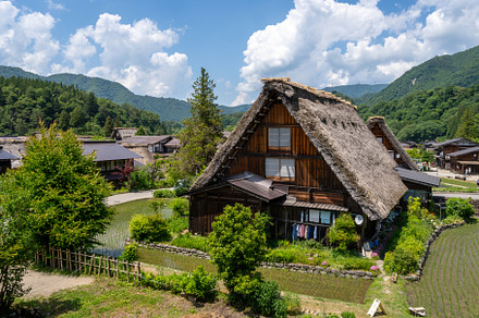 Traditional houses and rice fields in Shirakawa-go, rural Japan, an Architecture Photo by GoodGoods