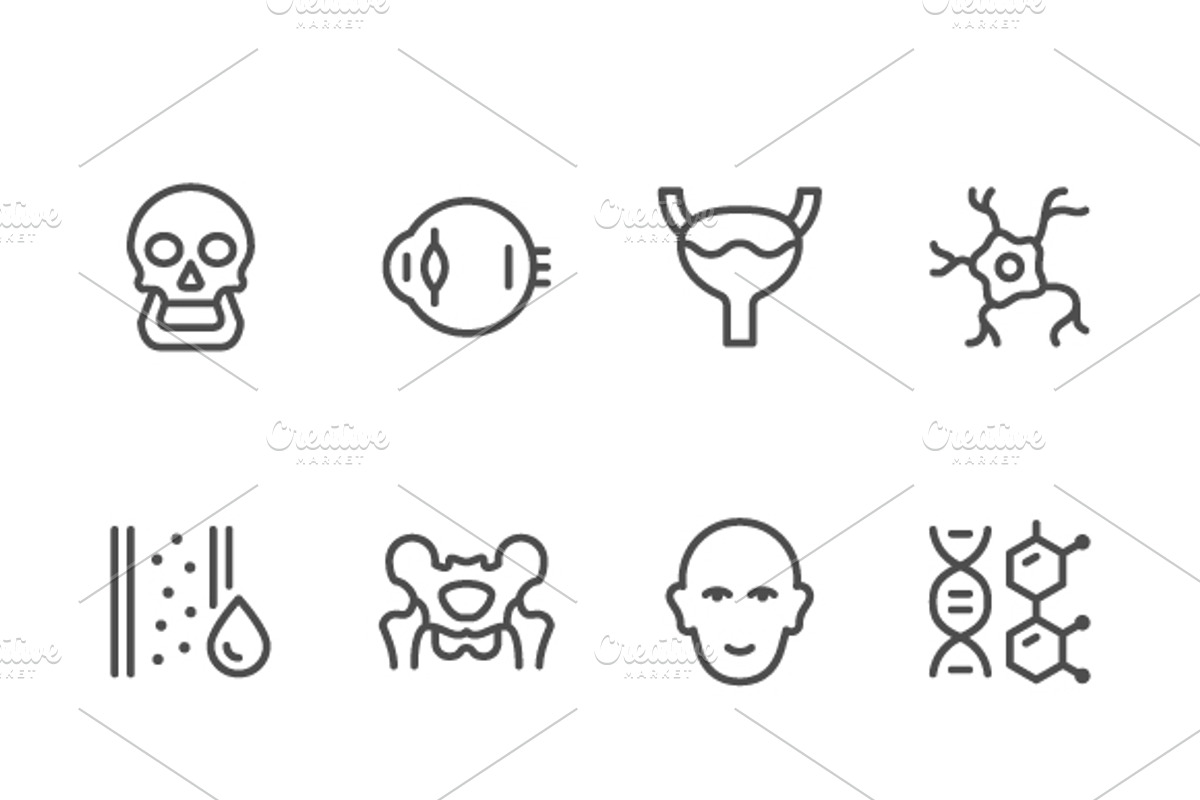 Set line icons of human organs, an Outline Icon by motorama (Photo 1 of 2)