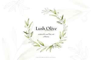 Olives – Watercolor & Line Art