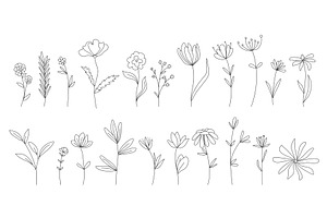 Outline illustrations of flowers and, an Object Illustration by Tati_Kli