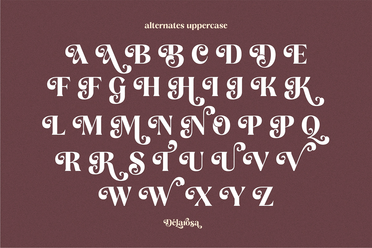 Delarosa - A Decorative Serif, a Serif Font by agnyhasyastudio (Photo 15 of 17)