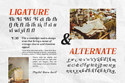 Monday Awaits | A playful serif, a Serif Font by ClevUs (Thumbnail 11 of 13)