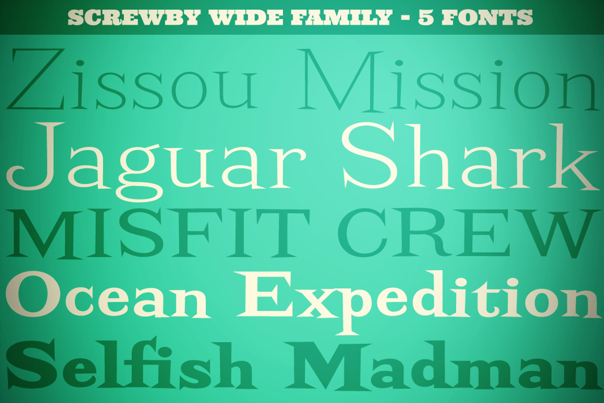 Screwby Wide Family, a Serif Font by Pink Broccoli (Photo 1 of 3)