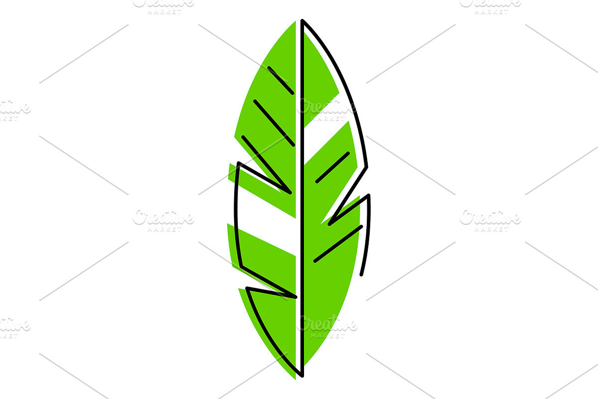 Stylized banana palm leaf., a Seasonal Illustration by incomible