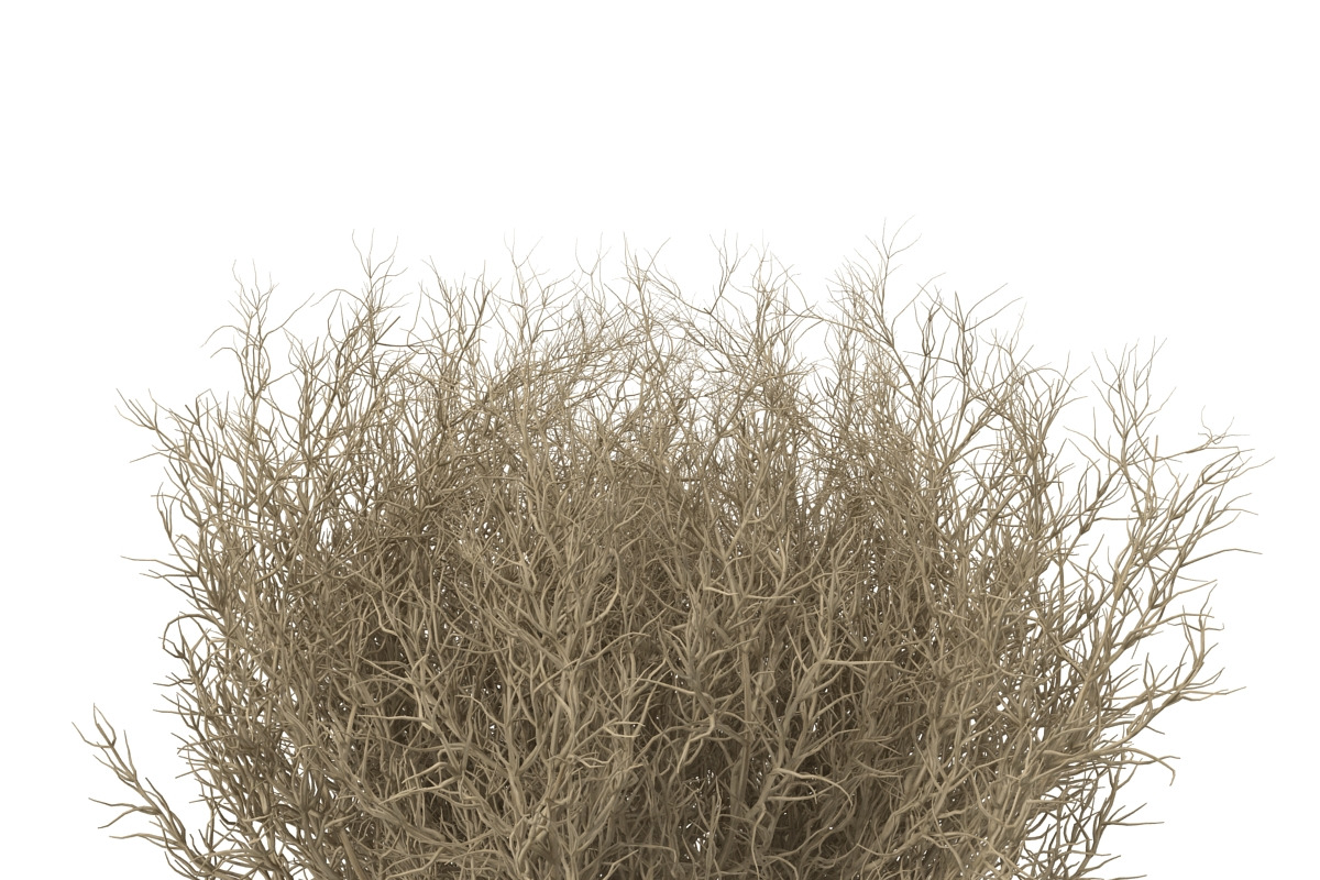 Tumbleweed, an Environmental 3D Model by AndrewWhite (Photo 7 of 9)