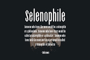 Isaac Display Font Family, a Font by Creativetacos (Thumbnail 4 of 10)