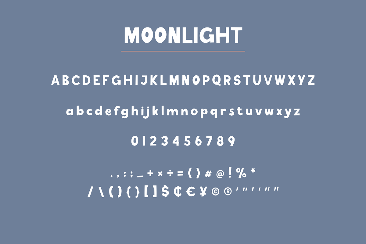Moonlight Bold Font, a Script Font by Sofia Skoog (Photo 4 of 10)
