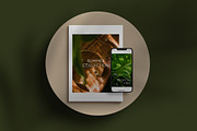 Gold & Tropics Image Collection, a Beauty & Fashion Photo by Lum3n (Thumbnail 2 of 5)