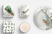 Boho Feathers Watercolor Collection, an Illustration by Cat In Colour (Thumbnail 5 of 7)