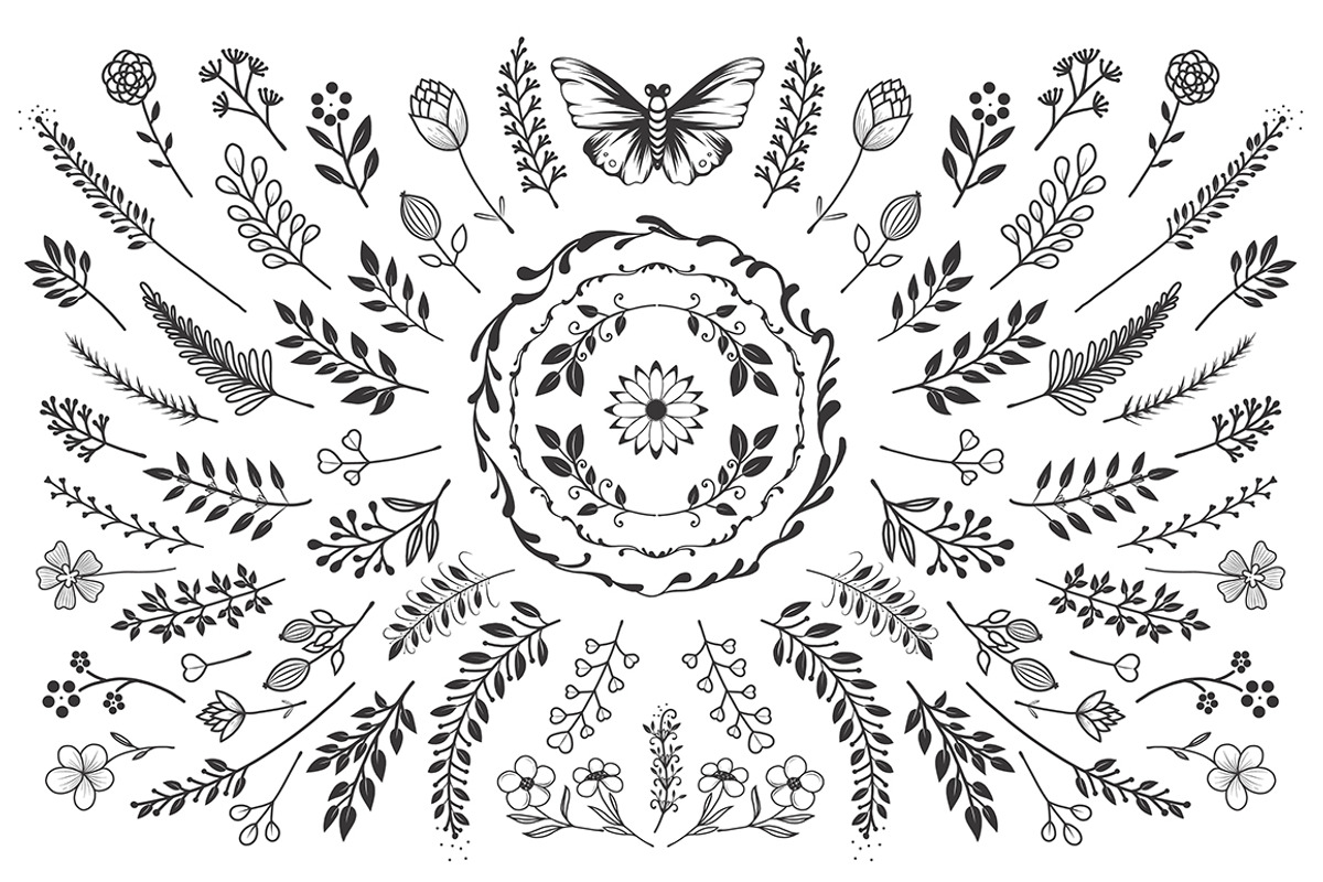 Bloom Сollection, a Decorative Illustration by Luba Vega (Photo 3 of 6)