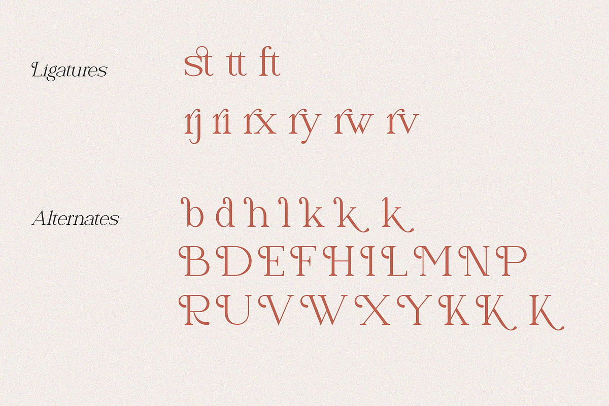 Naervik | Modern Serif, a Serif Font by Denustudios (Photo 12 of 13)
