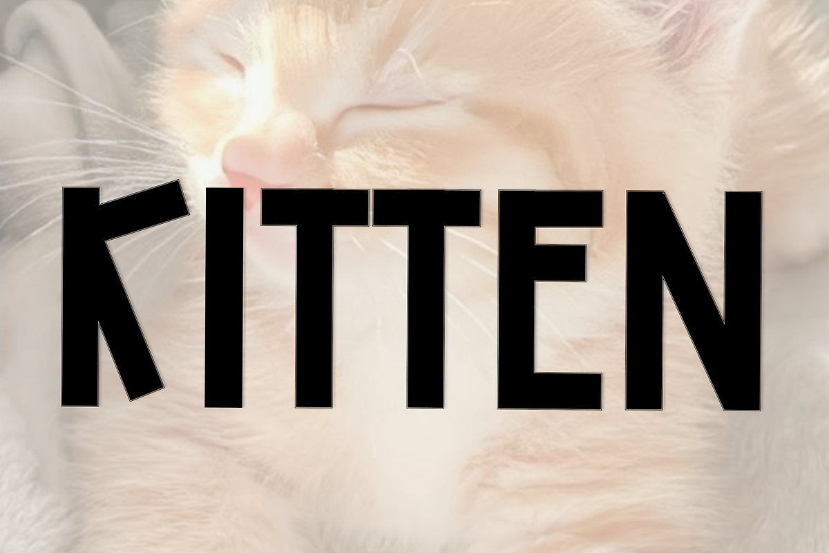 Notepad, a Script Font by InermediaSTUDIO (Photo 3 of 8)