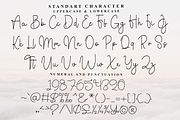 Wedding Anitimes, a Handwritten Font by FreshTypeINK (Thumbnail 6 of 9)