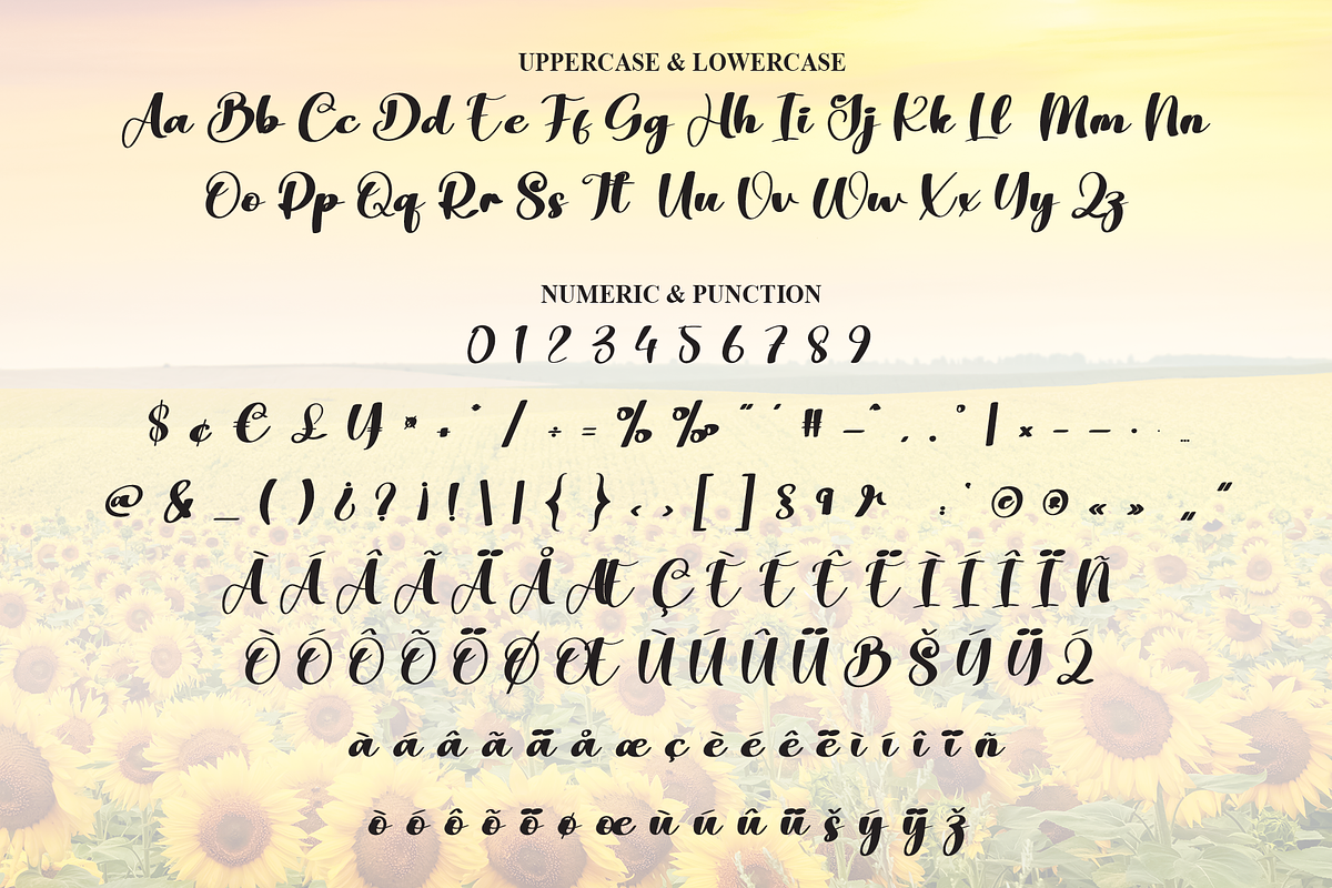 Sunflower | Script Font, a Handwritten Font by Scratchones (Photo 7 of 8)