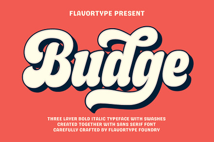 Budge, a Sans Serif Font by Flavortype