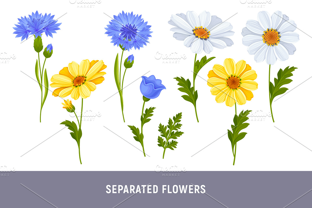 Set With Daisy And Cornflower, a Pattern Graphic by Vector beauty (Photo 7 of 9)