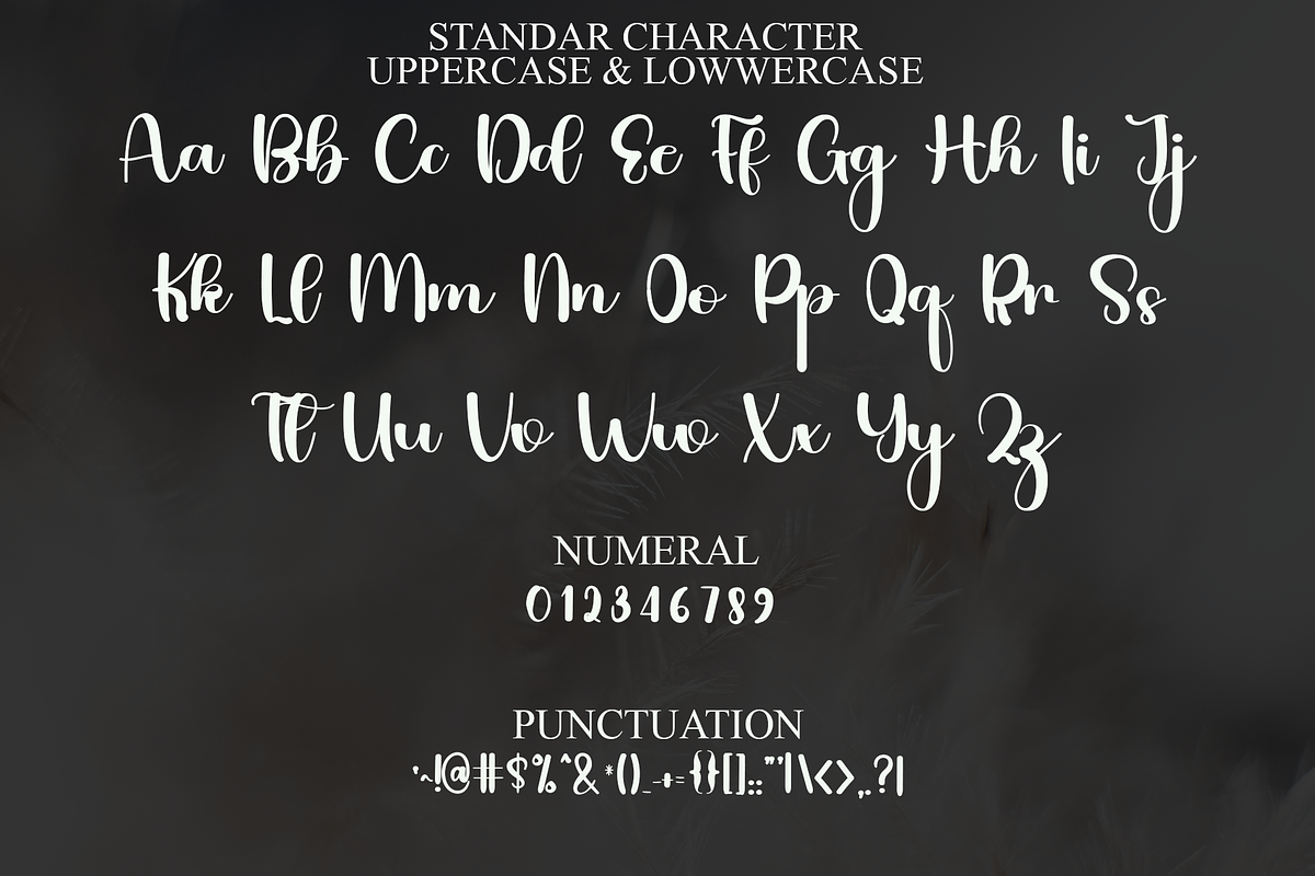 Script Style, a Handwritten Font by FreshTypeINK (Photo 8 of 8)