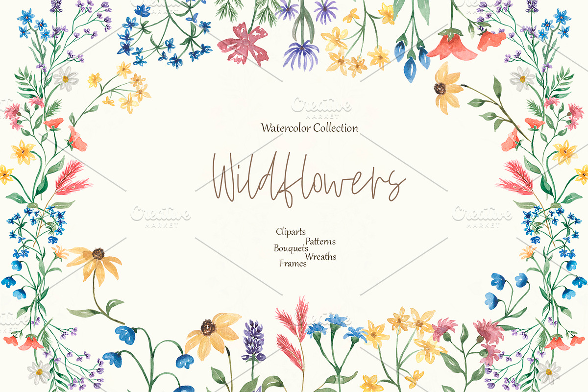 Watercolor Wildflowers Collection, a Decorative Illustration by MayaNavits (Photo 1 of 14)