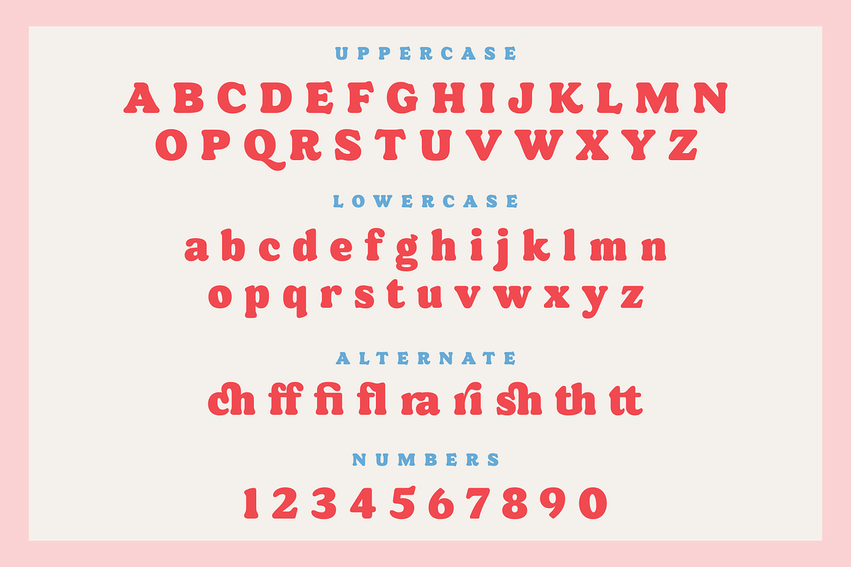 Donut Shop - Retro Rounded Serif, a Serif Font by Surplus Type Co (Photo 2 of 8)
